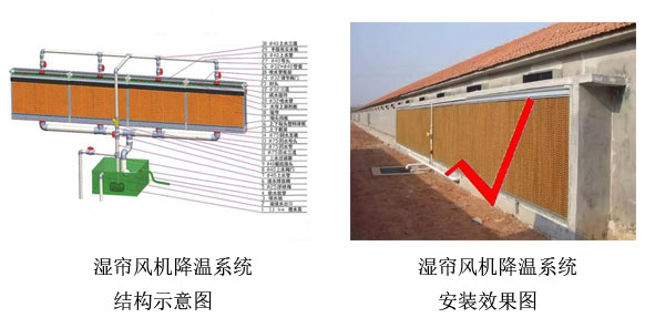 濕簾風機降溫系統(tǒng)