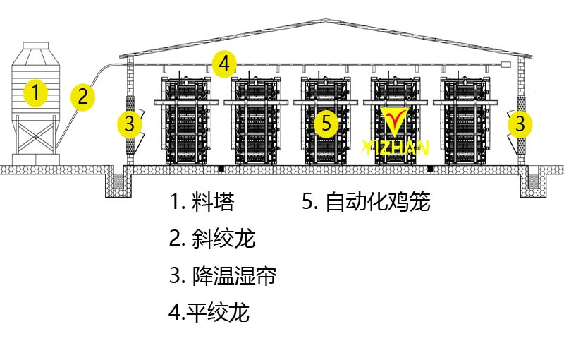 雞舍設(shè)計